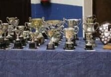 Prize-giving-trophies-300x156